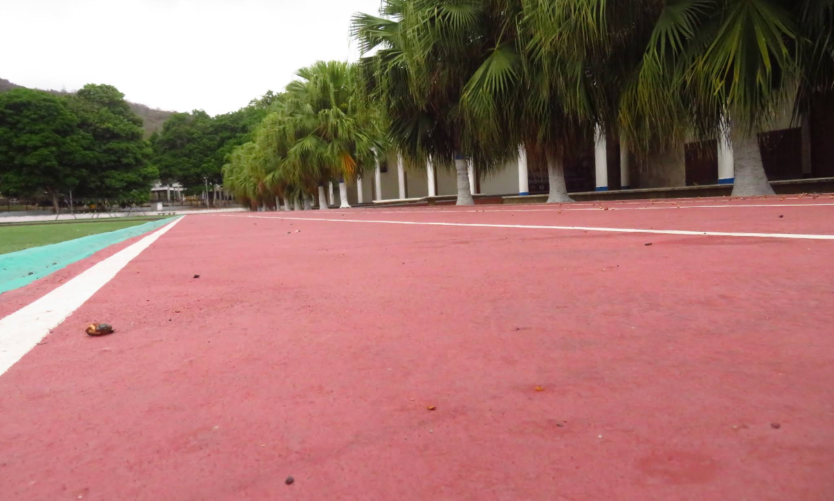 Foto de COMPLEJO DEPORTIVO AMEB